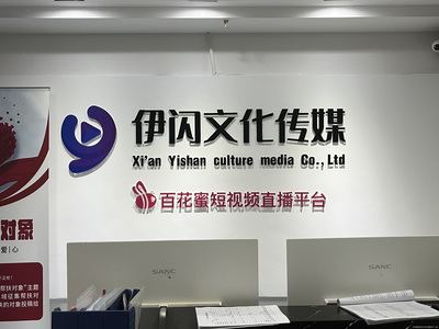 西安伊闪文化传媒 长安光影中的新媒介力量